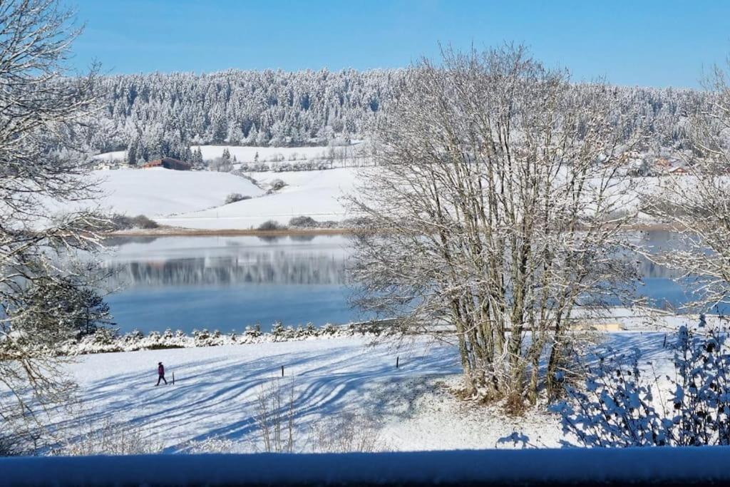 Duplex 6 Personnes, Vue Panoramique Sur Lac Malbuisson Eksteriør billede